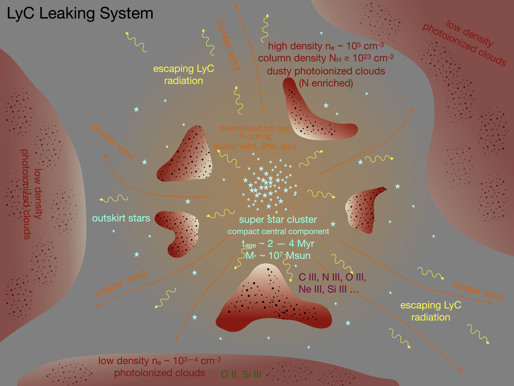 Spatially resolving Lyman continuum escape in star-forming galaxies